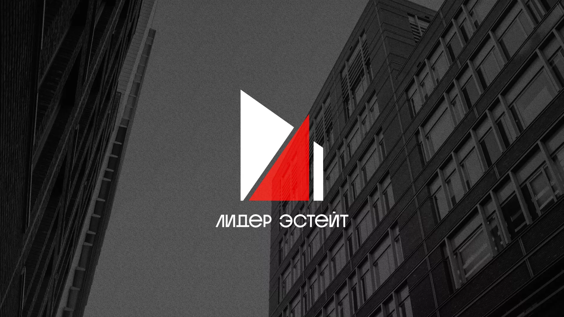 Сделали логотип для агентства недвижимости «Лидер Эстейт» в Искитиме